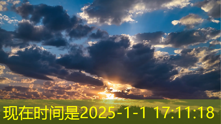 跆拳道电子护具全套价格
