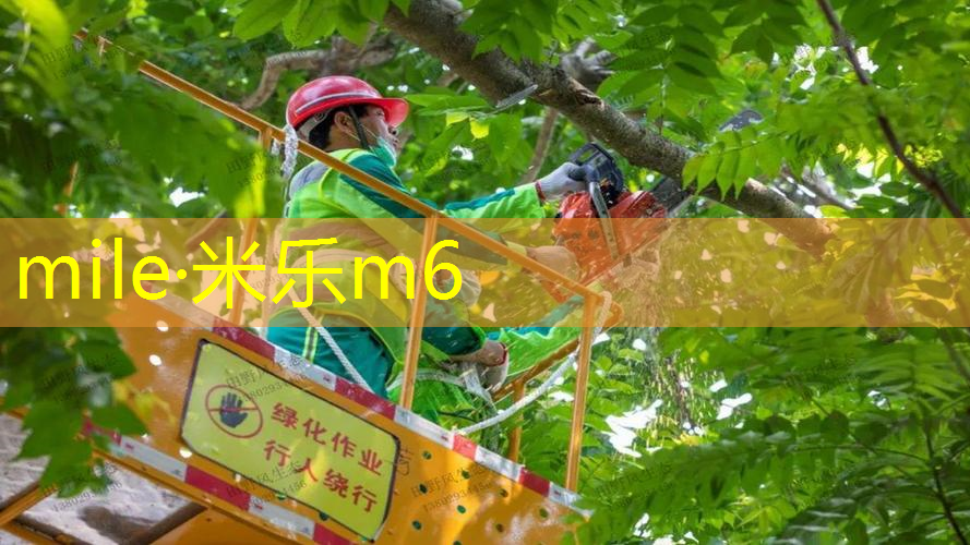 米乐：网球拍修复后影响手感吗_