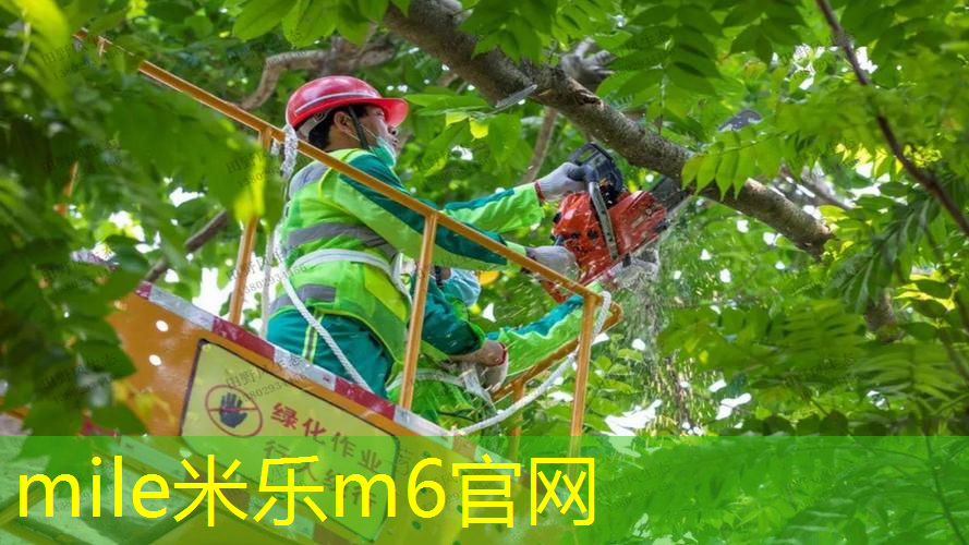 米乐m6官网：旅行网球拍怎么戴好看