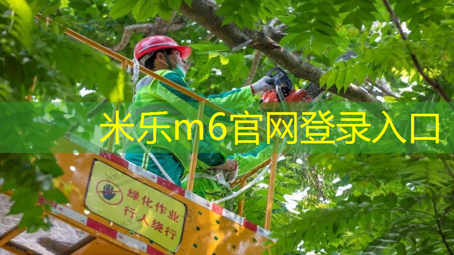 米乐：用网球拍什么部位击球最好