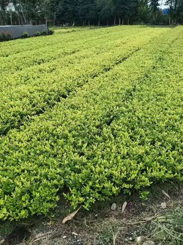 米乐m6官网：去哪里可以试打网球拍