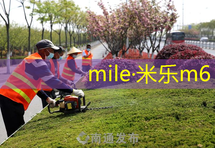 网球拍没网可以打吗吗_