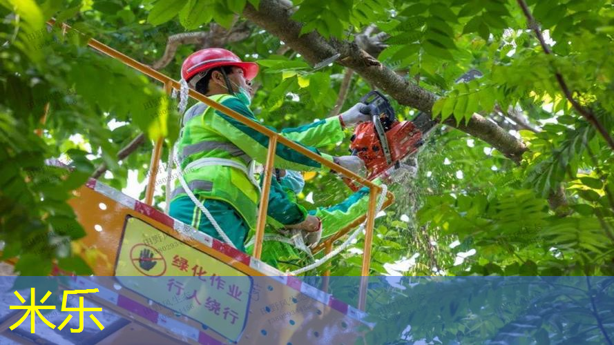 米乐：身高158用青少年网球拍