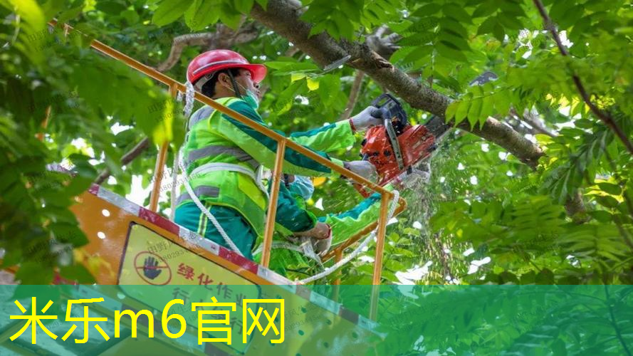 mile·米乐m6：高铁能带网球拍么吗_