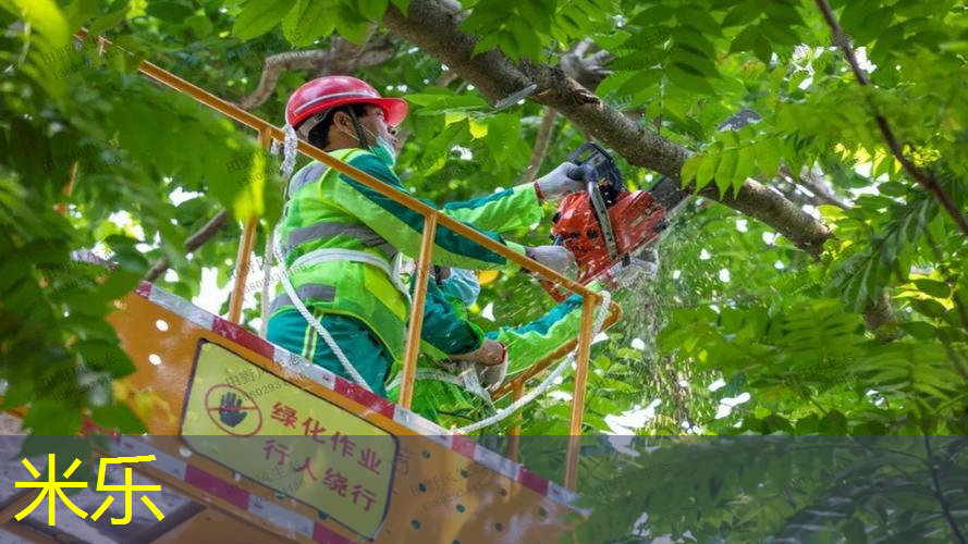 mile米乐m6官网：塑胶跑道材料质保期解密：如何优化运动场地使用效果？