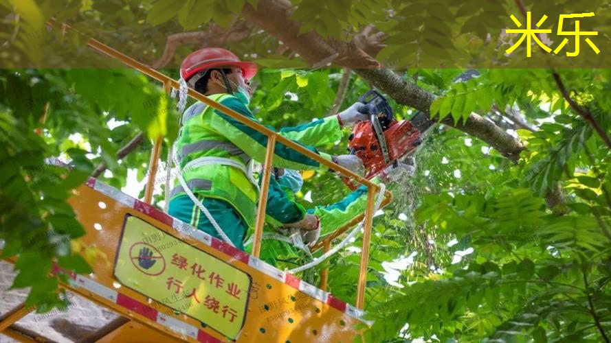 网球拍咋用的好看点