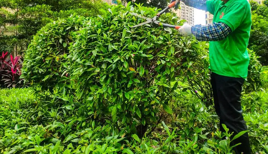 网球拍柄内有填充物