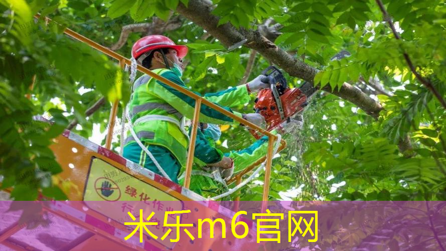 网球拍修复后影响手感吗_