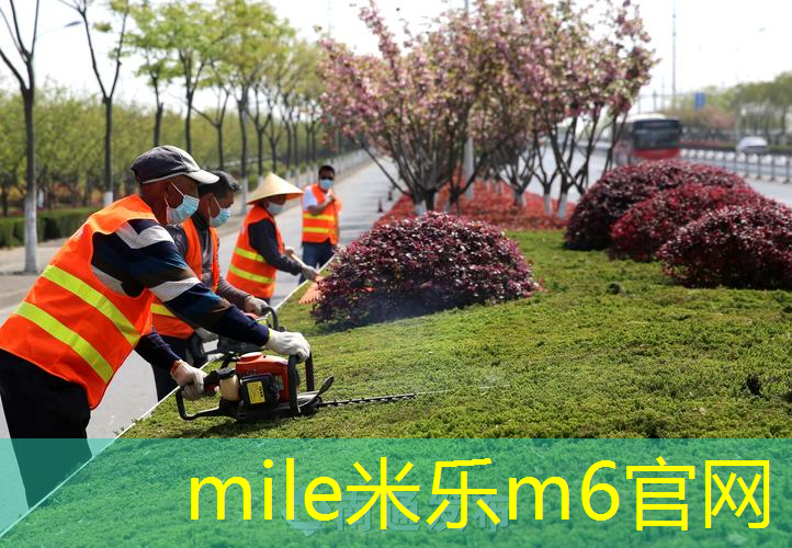 网球拍没网可以打吗吗_