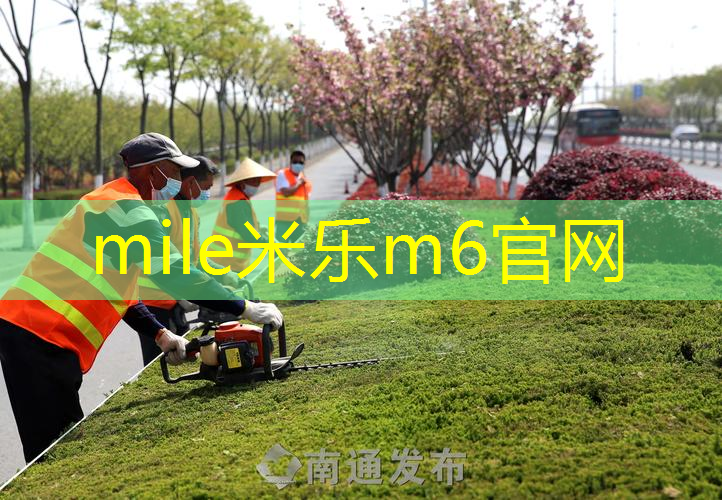 怎么在网上选好网球拍颜色